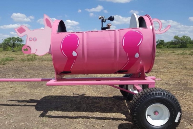 Pig Car