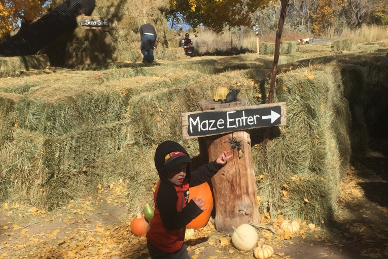 Hay Bale Maze