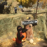 Hay Bale Maze