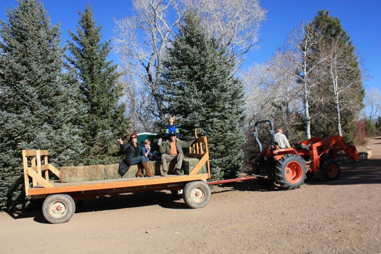 Hay-Rides