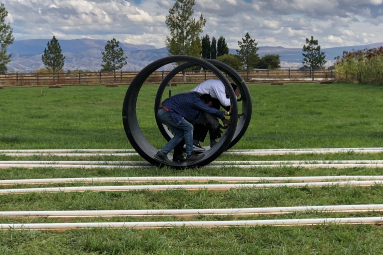 Human Hamster Wheel