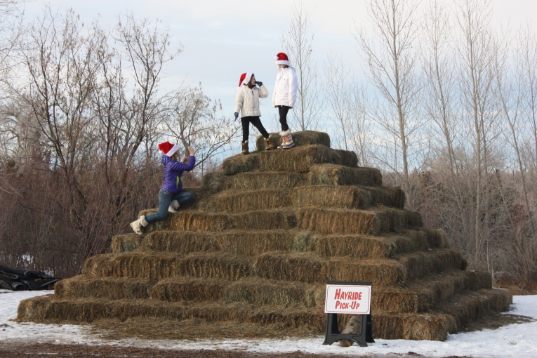 Giant Haystack