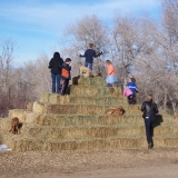 Giant Haystack