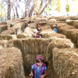 Hay Bale Maze