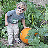 Pumpkins_at_the-Covered_Bridge_Riley