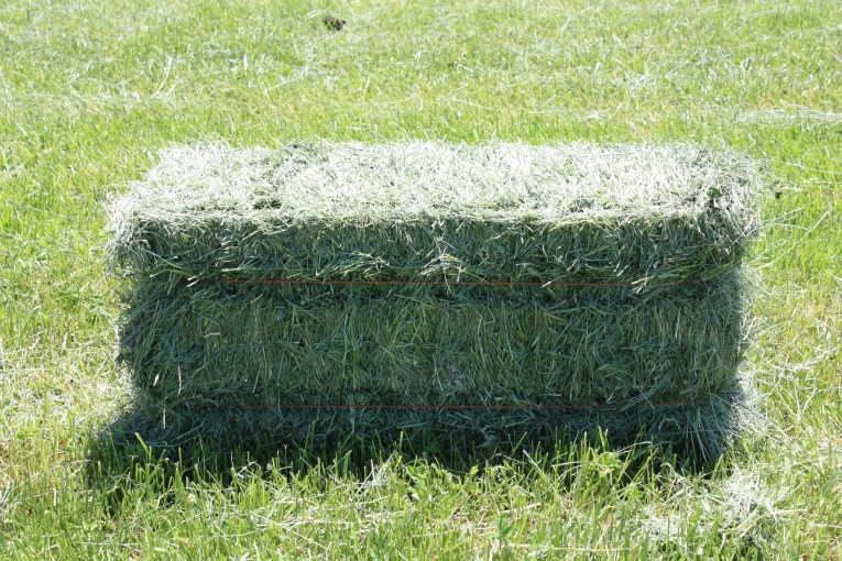 Bale of Hay