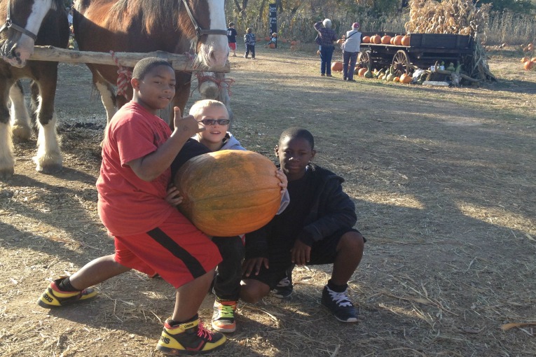 Largest Pumpkin