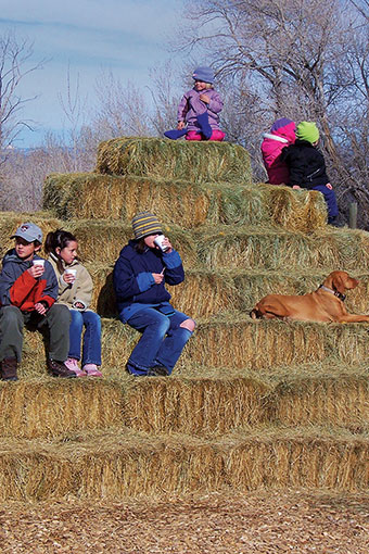 Giant_Haystack