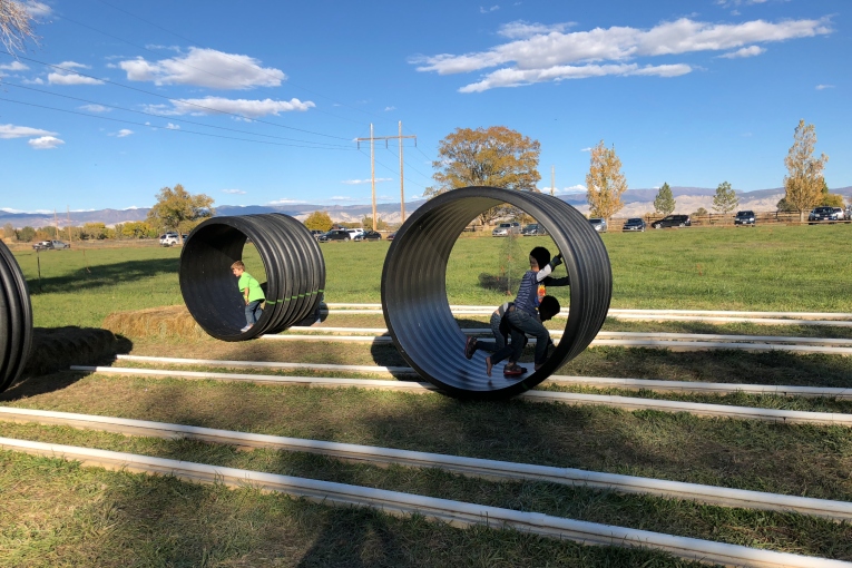 Human Hamster Wheel