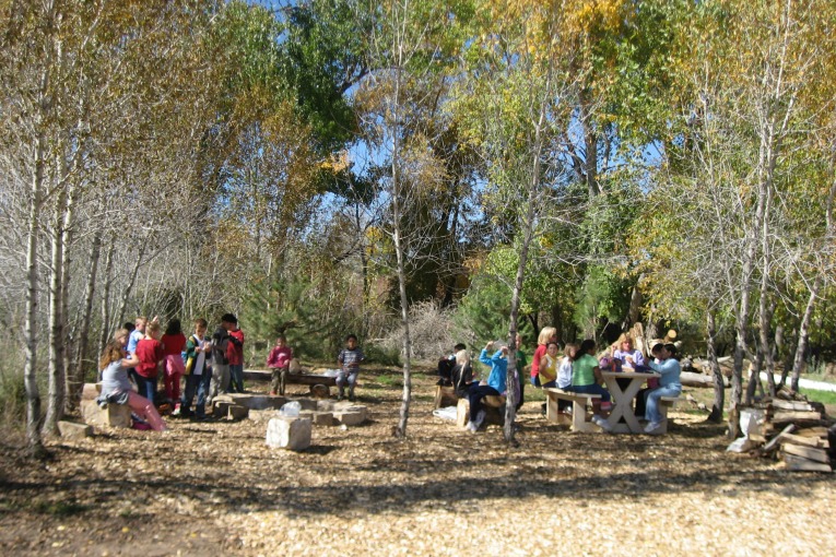 Picnic Area