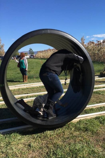 Human Hamster Wheel