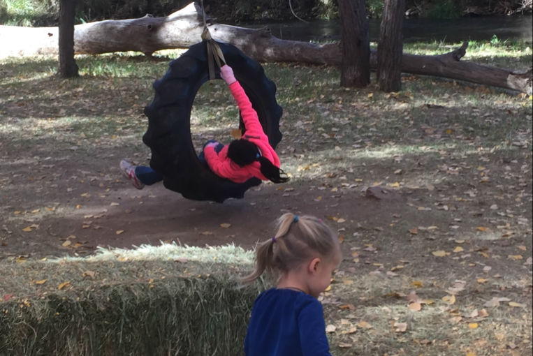 Tire Swing