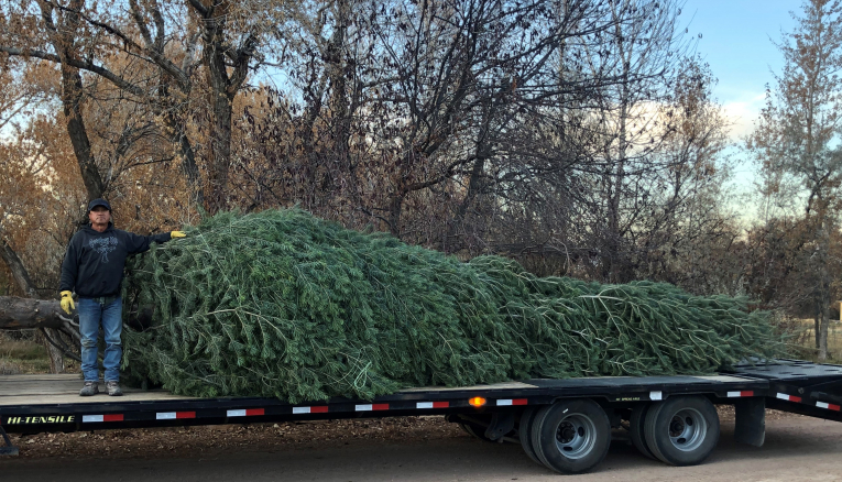 Keystone Ski Resort Christmas Tree 2020