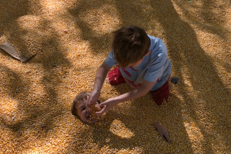 Corn Sandbox