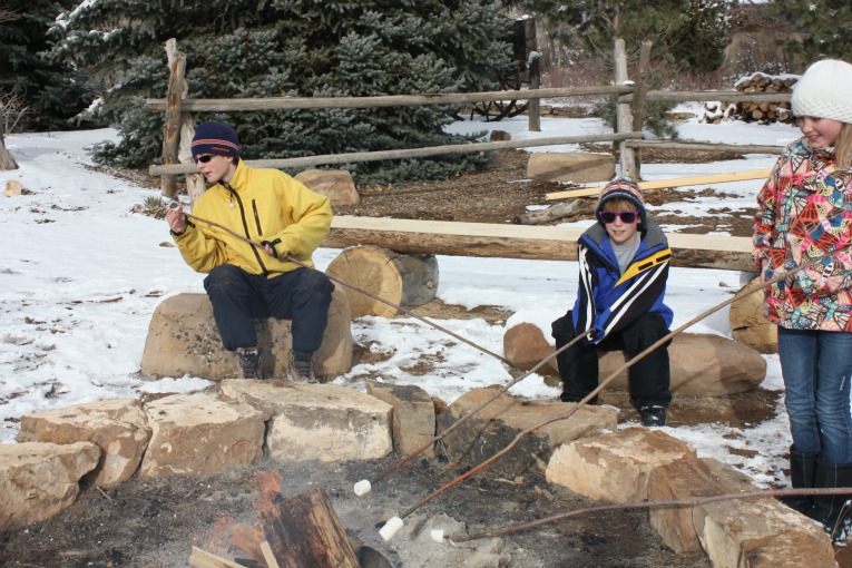 Camp Fire Marshmallow Roast