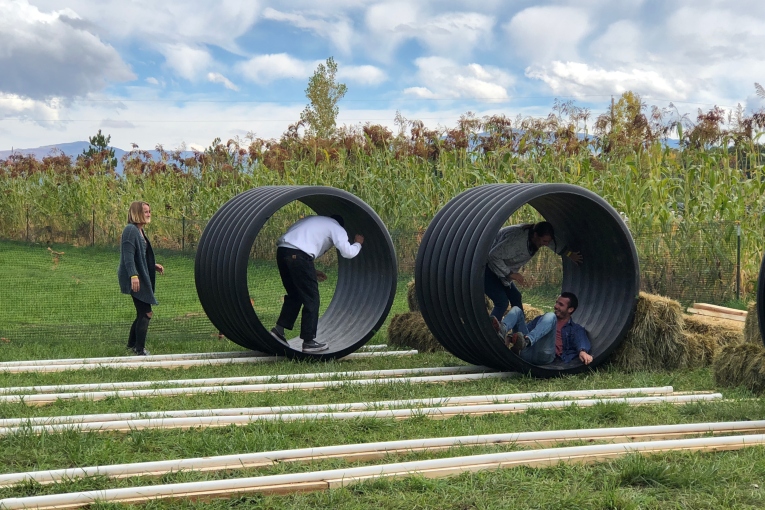 Human Hamster Wheel