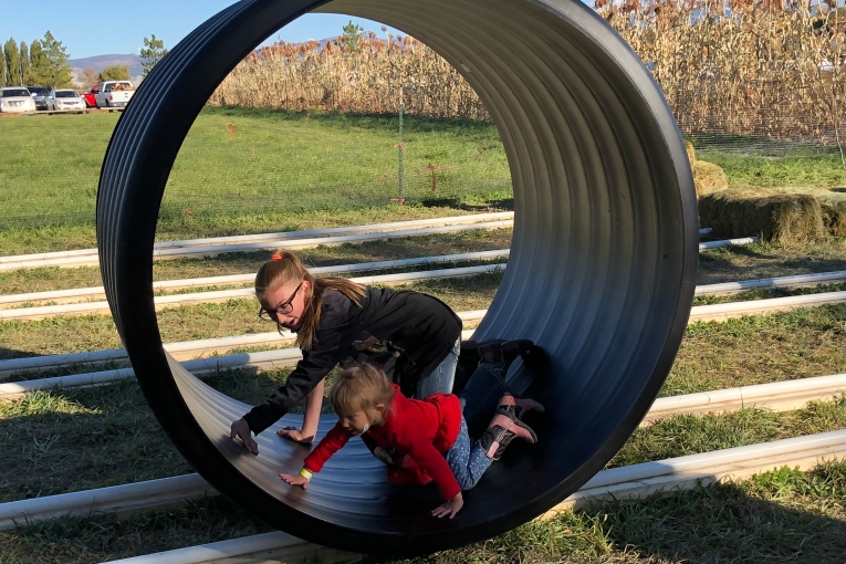 Human Hamster Wheel