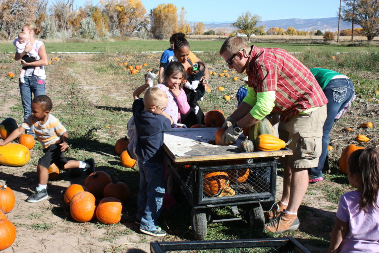 Pumpkin Patch