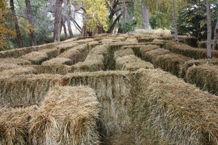 Hay Bale Maze