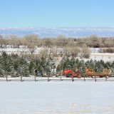 Hay-Rides