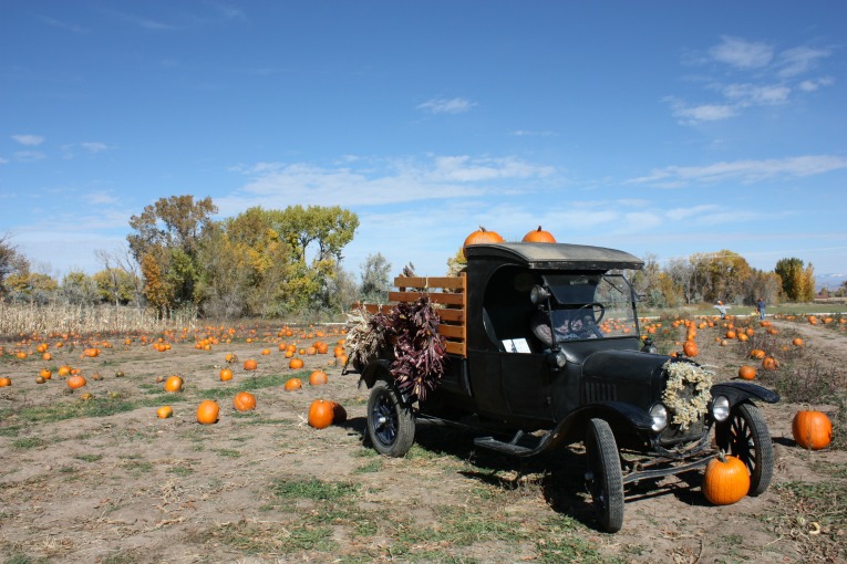 Pumpkin-Patch-2