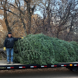 Keystone Ski Resort Christmas Tree 2020