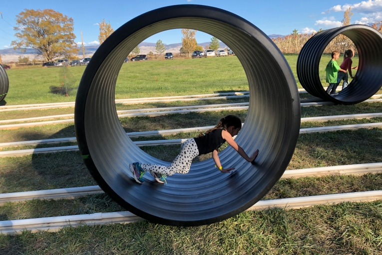 Human Hamster Wheel