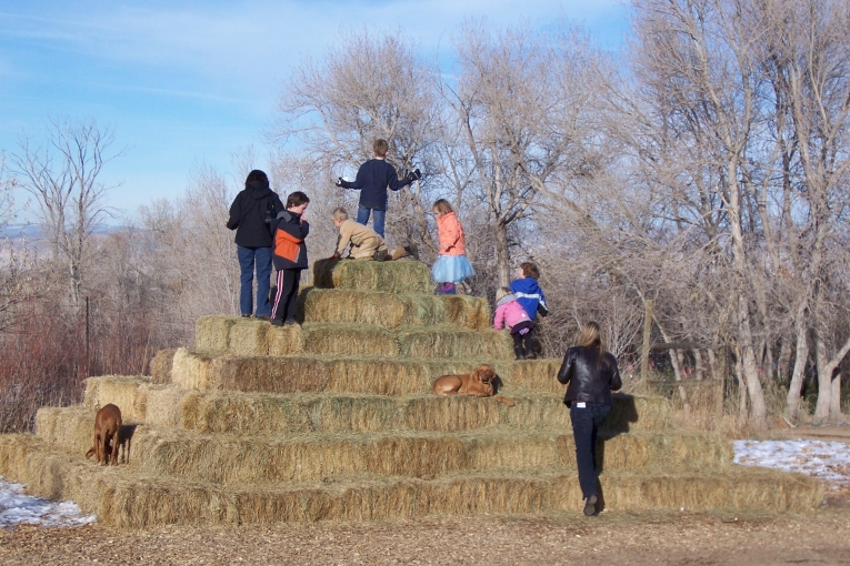 Giant Haystack