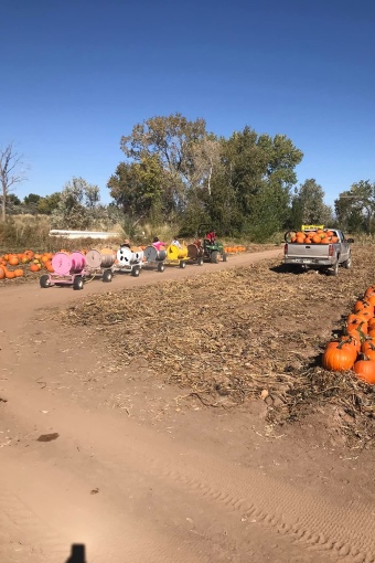 Barrel Train