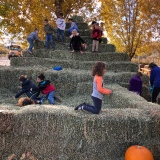 Giant Haystack