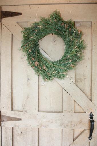 Scotch Pine Tips Wreath