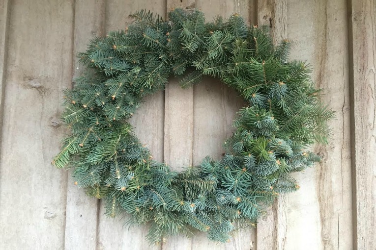 Concolor Fir Wreath