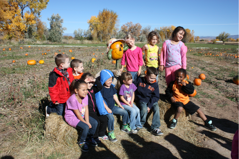 Pumpkin Patch