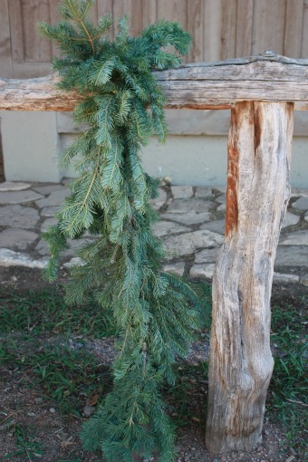 Alpine Fir Garland