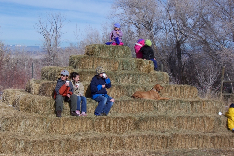 Giant Haystack