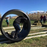 Human Hamster Wheel