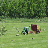 Hay_Bails_Tractor