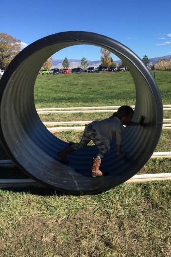 Human Hamster Wheel