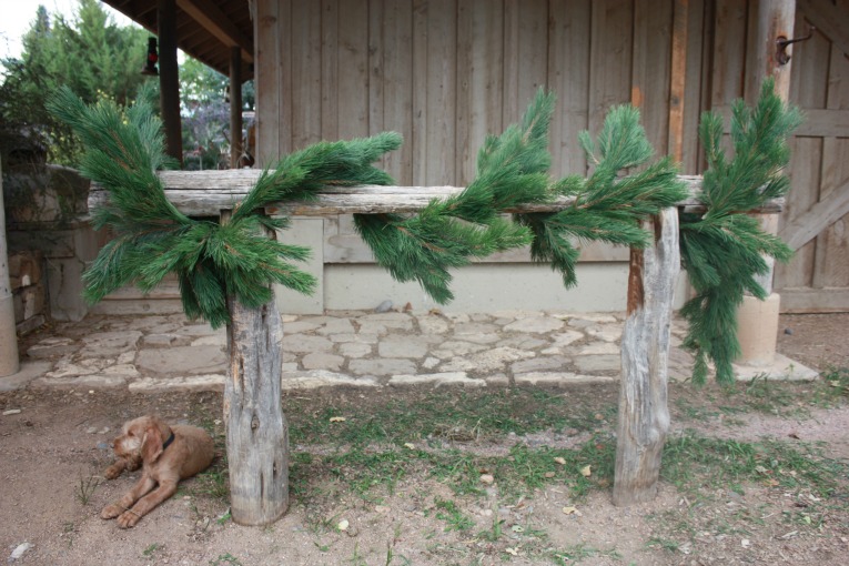 Austrian Pine Garland