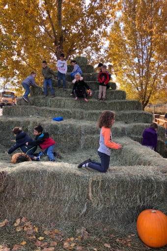 Giant Haystack