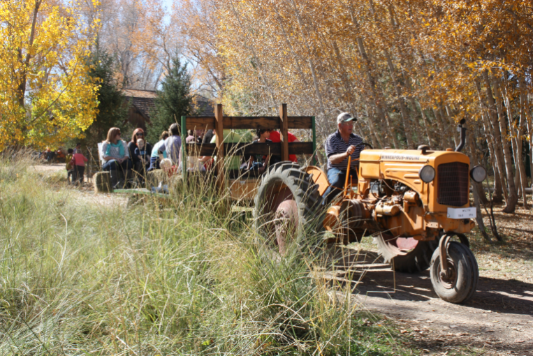 Tractor