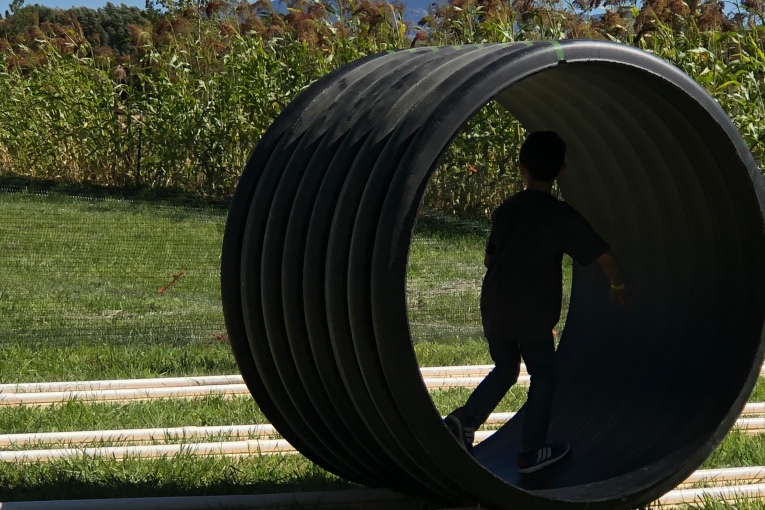 Human Hamster Wheel