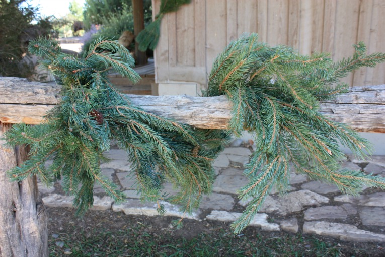 Scotch Pine Garland