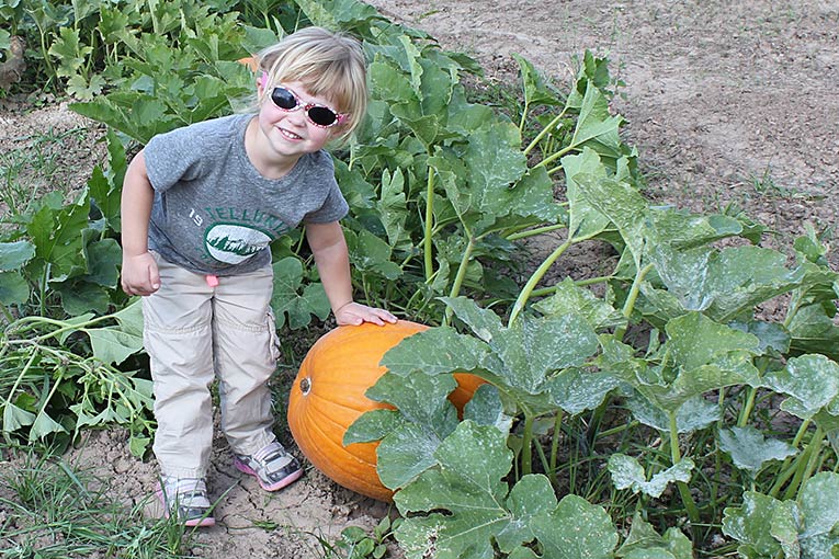 Pumpkins_at_the-Covered_Bridge_Riley