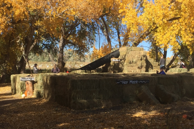 Hay Bale Maze