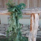 Alpine Fir Garland