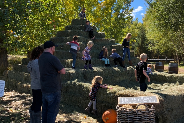 Giant Haystack