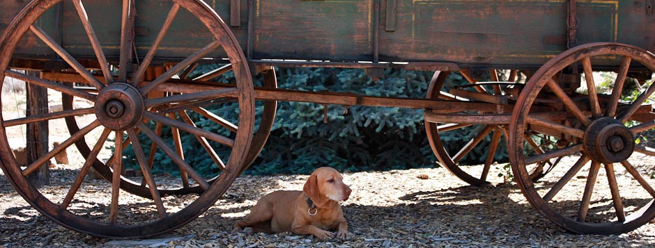 Lucy and Wagon