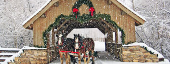 Christmas Trees at the Covered Bridge »