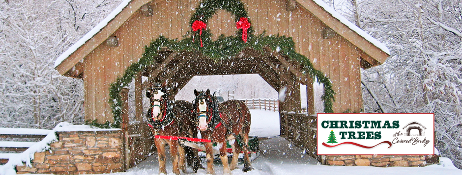 Christmas No Date